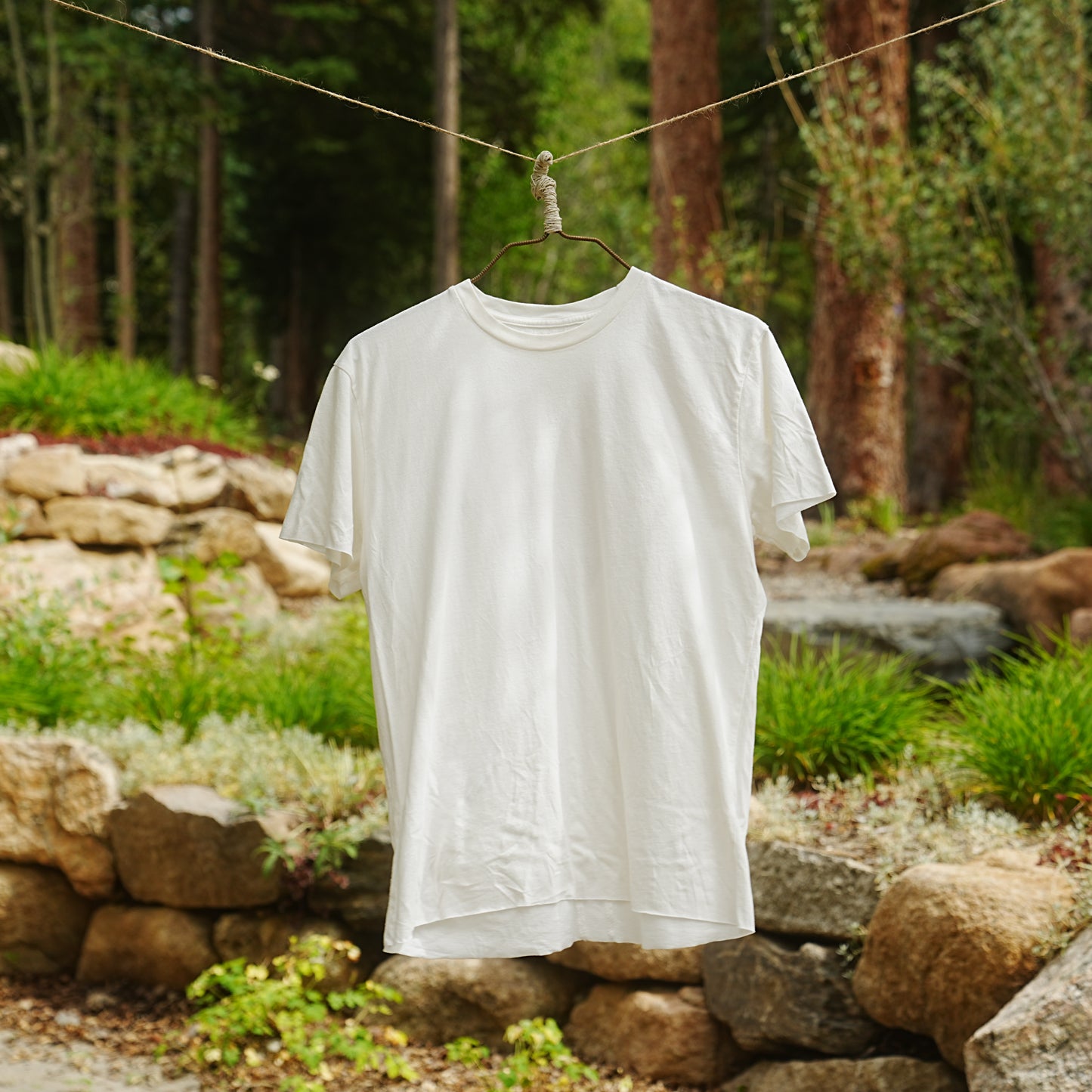 Scroll Tee (Light)